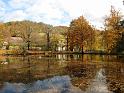 2009-11-05, leuchtender November (7)
